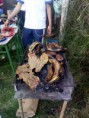 /album/fotogaleria/img-20180921-160643-jpg/